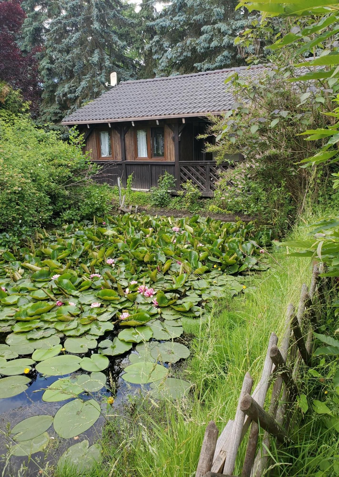 Dankowska Dolina Villa Екстериор снимка