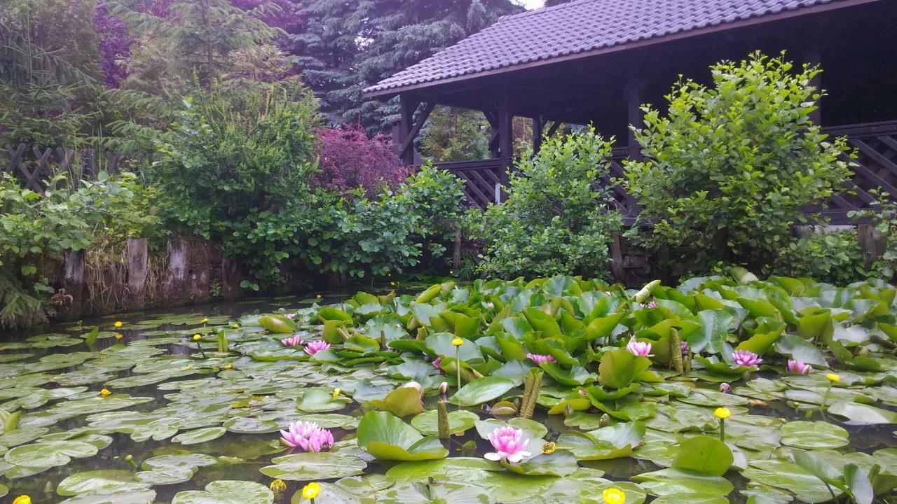 Dankowska Dolina Villa Екстериор снимка